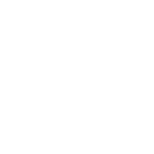Shield Icon